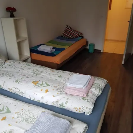 Homestay Zurich
